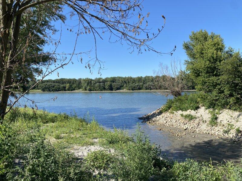 Donau