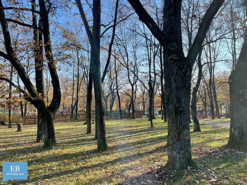 Park