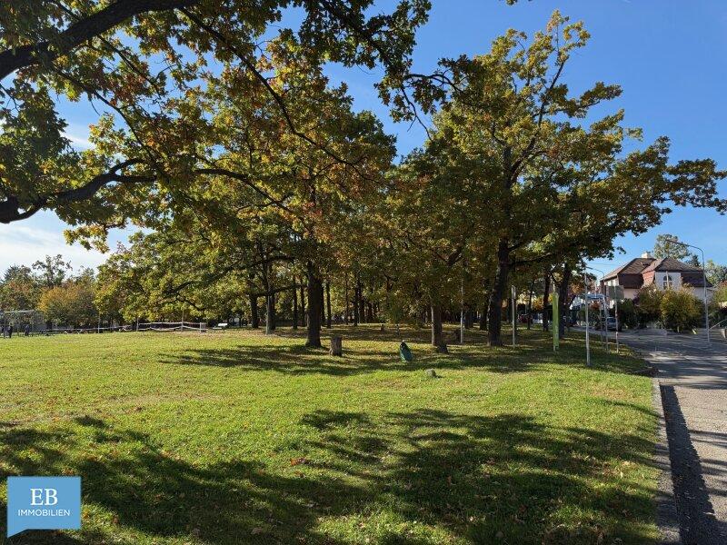 Park