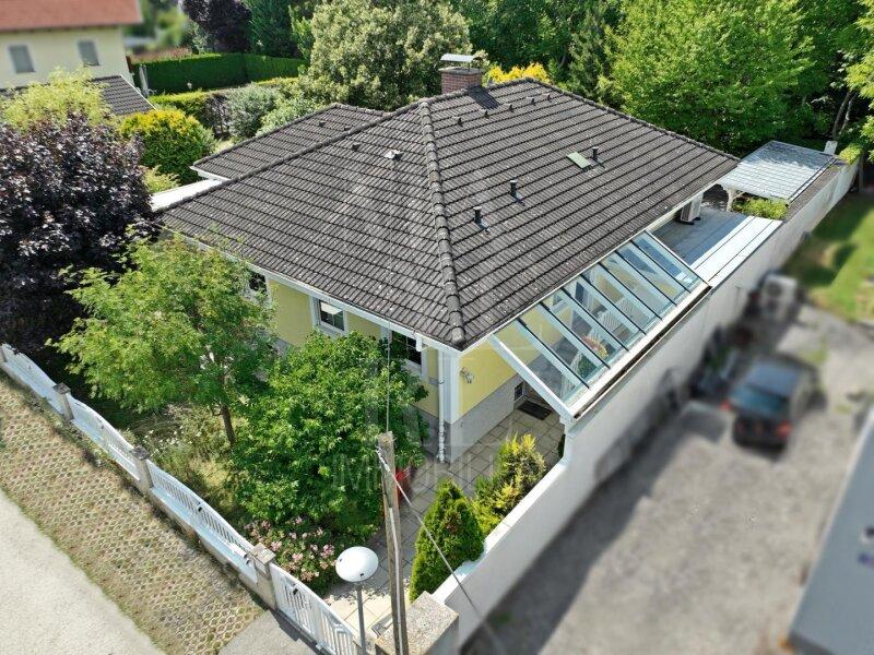 Haus