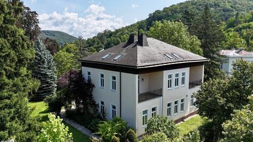 Mitten im Grnen & im Villenviertel: exklusive Gartenwohnung mit ca. 785 m Auenflche, beheiztem Wintergarten, Pool, Luftwrmepumpe u.v.m.!