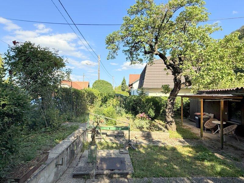Garten mit Brunnen