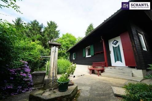 TOP-LAGE IN PETERSBERGEN: BEGEHRT & GRÜN - IHR TRAUMGRUND MIT ALTBESTAND ZUM ENTSPANNEN! Natur- und Stadtnähe im traumhaften St. Peter!