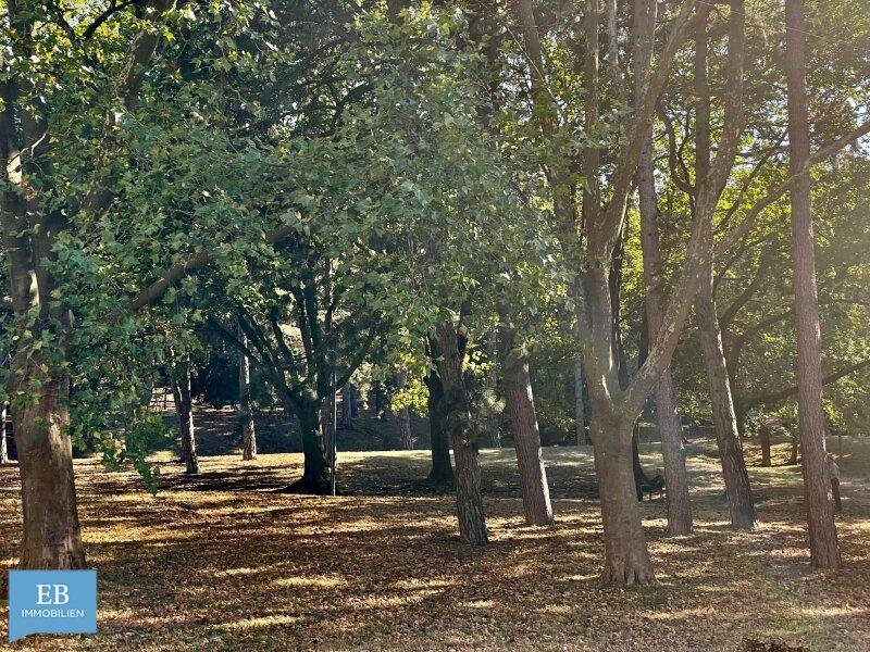 Park
