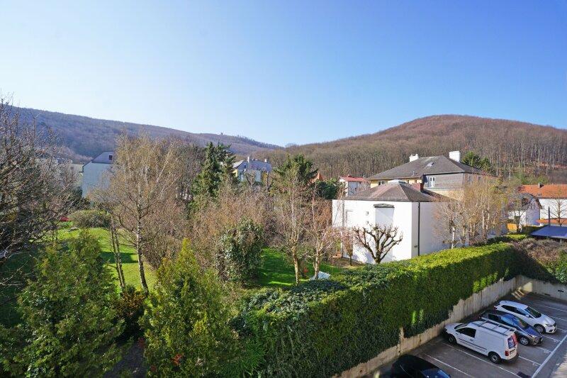 Blick in den Wienerwald
