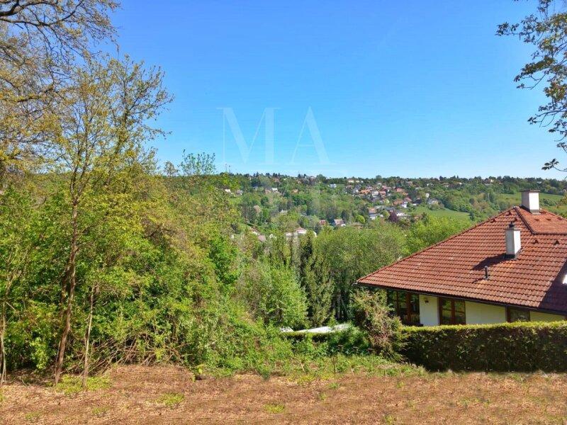 Weitblick
