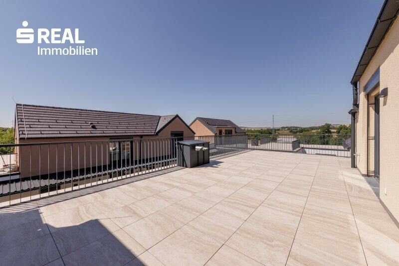 Dachterrasse 2