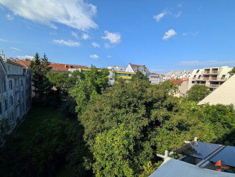 Ausblick