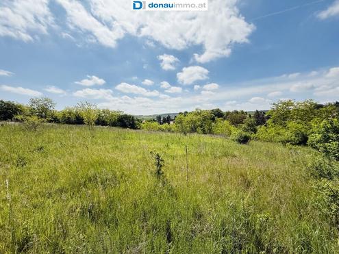 Baugrundstck plus Grnland mit tollem Ausblick