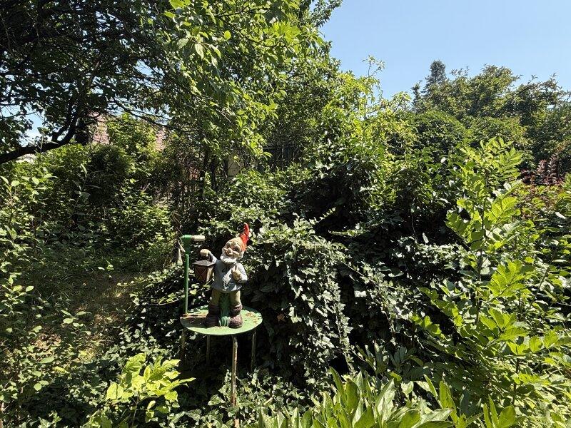 Der Zwerg