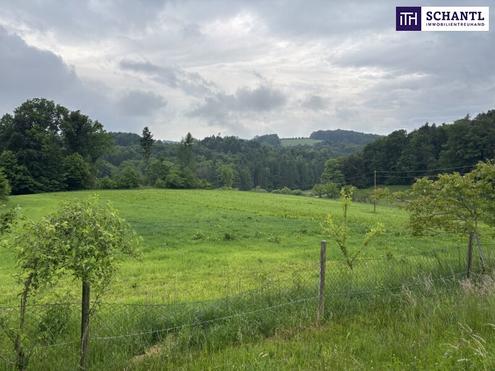 ++ SELTENE GELEGENHEIT ++ GENIAL fr PFERDEHALTUNG ++ BAUERNHOF mit ca. 7 HA Landwirtschaftlicher Flche und Wald ++ NEBENGEBUDE++ NHE GRAZ++