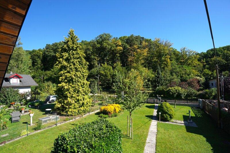 Ausblick