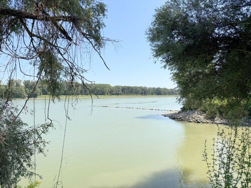Donau