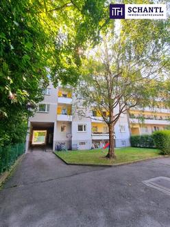 Sackgasse Ja bitte - hier endet der Stress! 4-Zimmer Neubauwohnung + Absolute Ruhelage + Hofseitige Loggia mit Blick ins Grüne + Gepflegte Wohnhausanlage! Worauf warten Sie