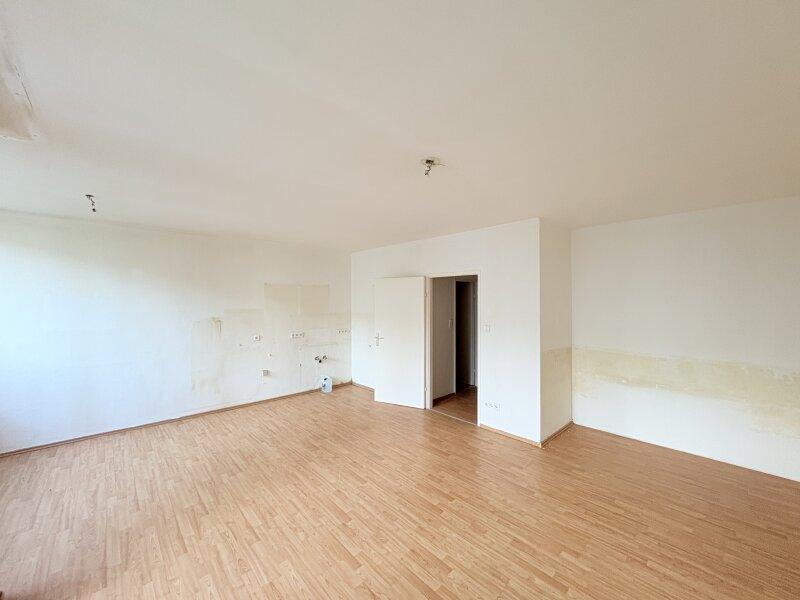 Zimmer_1