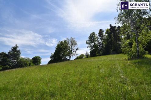 IDYLLE PUR! TRAUMHAFTER BAUGRUND Graz-St. Veit in absoluter Ruhelage! In einer Sackgasse gelegen und von der grnen Natur umgeben - SENSATIONELLER AUSBLICK! Jetzt anfragen und Details anfordern!