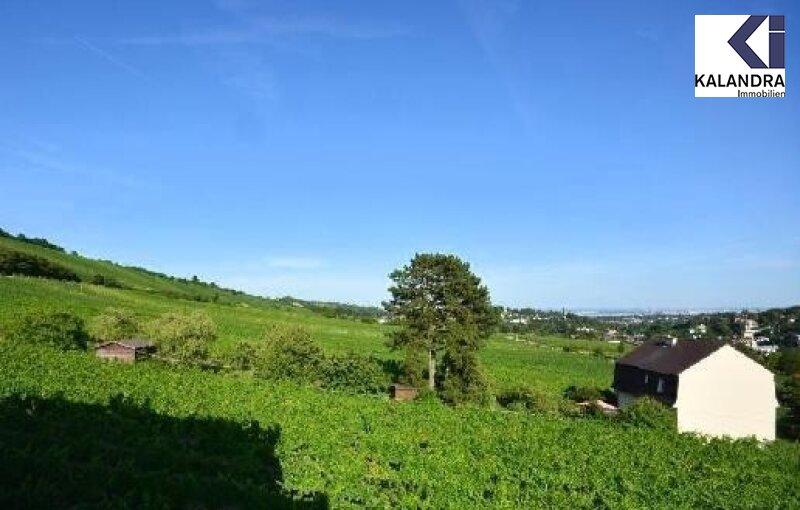 Terrassenblick 