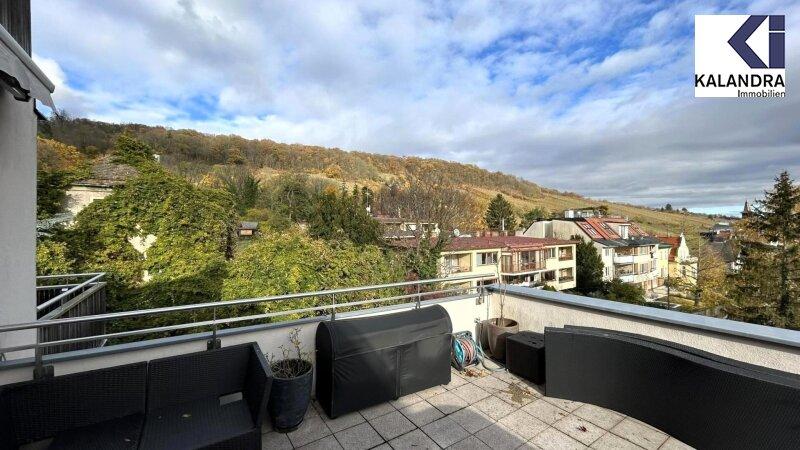 Fernblick