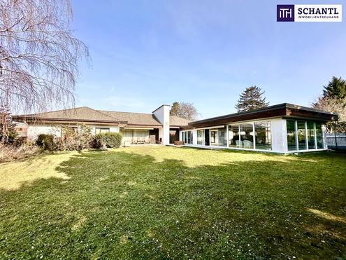 Traumhafter Bungalow ++ Villa mit Indoor-Pool ++ Weinkeller ++ Wunderschner Gepflegter Garten ++ Perfekte Lage in Gnserndorf ++  Beeindruckende Architektur ++ Vielseitige Nutzungsmglichkeiten ++