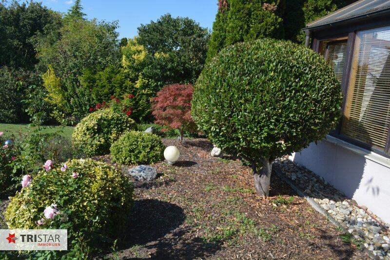 22 - Garten
