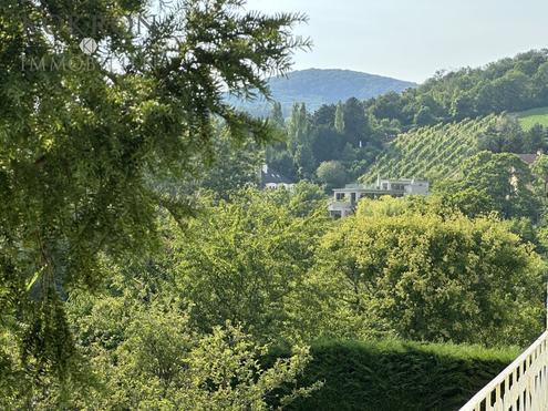 Aehnliche Immobilie - Vorschaubild 3