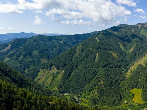 123 ha Eigenjagd mit hohem Altholzbestand