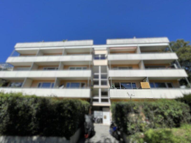 IMG_1024.jpeg