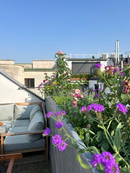bewohnte Dachterrasse
