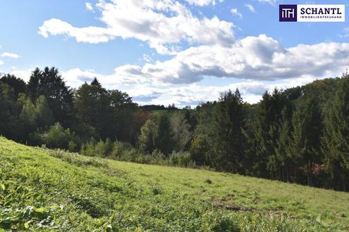 Rastbhel - Wohnen am Stadtrand mit Blick ins Grne