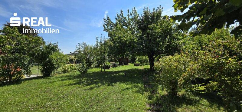 Garten_1