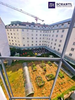 Zwischen Wiener Klassik und Naschmarkt Vibes - Ihr Zuhause mit Charme! Hofseitiger Balkon + Ruhiges Schlafzimmer! HIP und TRENDY die Gegend - Magisch schön das Altbauhaus - Ein MUST HAVE die Wohnung!
