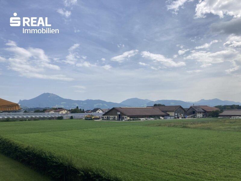 Aussicht Gaisberg