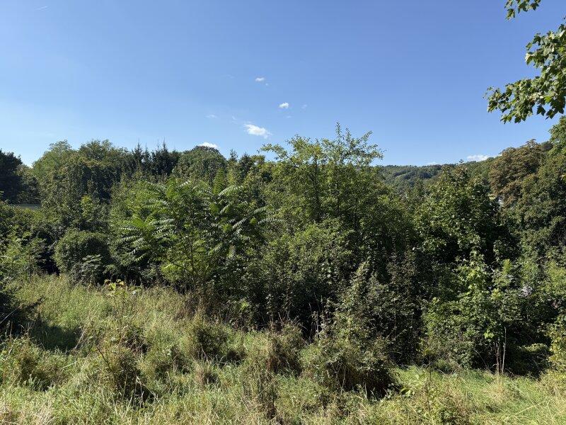 Grundstck mit Fernblick