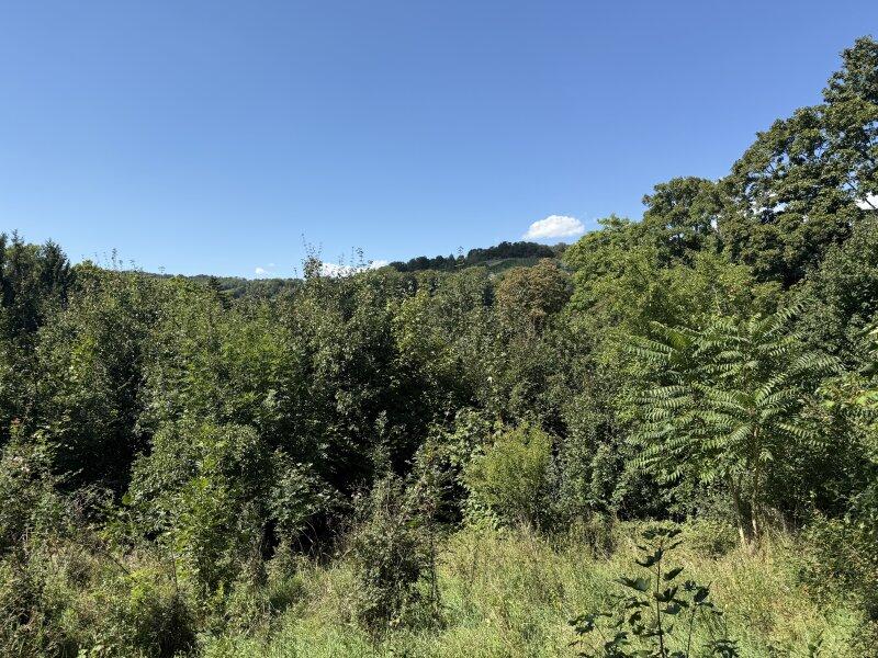 Grundstck mit Fernblick