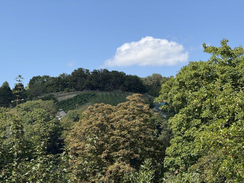 Grundstck mit Fernblick auf die Weinberge