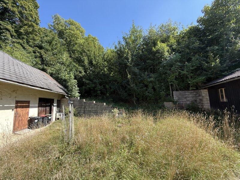 Grundstck mit Altbestand