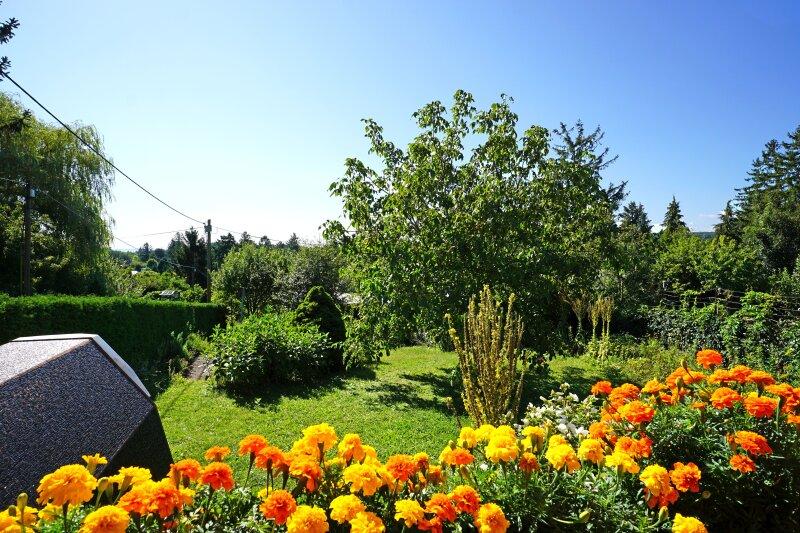 Blick von der Terrasse nach Sden ber den Kleingarten