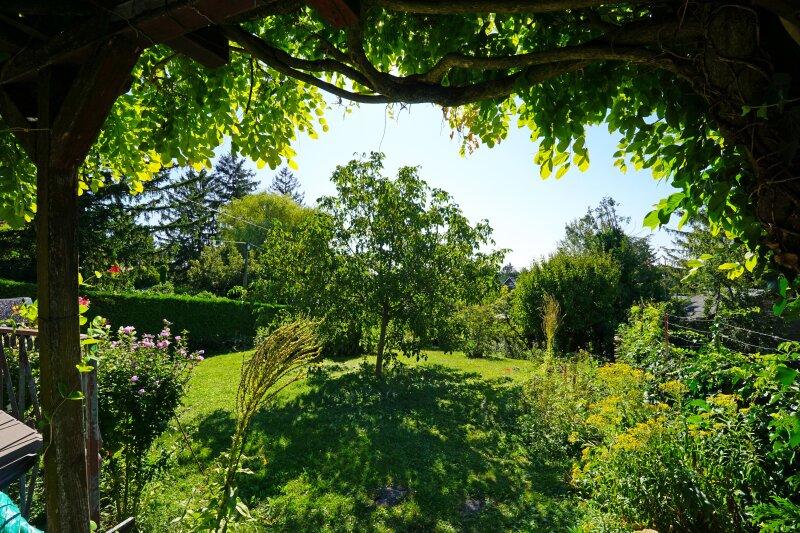 Blick von der Pergola in den Garten