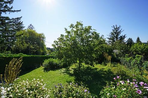 Kleingarten-Doppelparzelle im Eigentum mit Altbestand - Ober St. Veit beim Lainzer Tiergarten