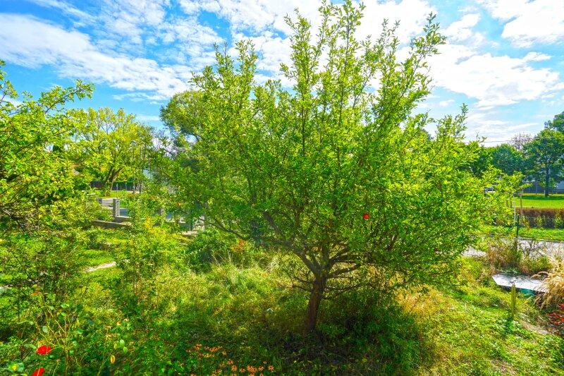Garten SO