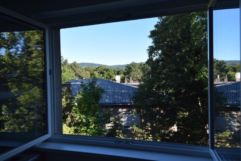 Ausblick Kche