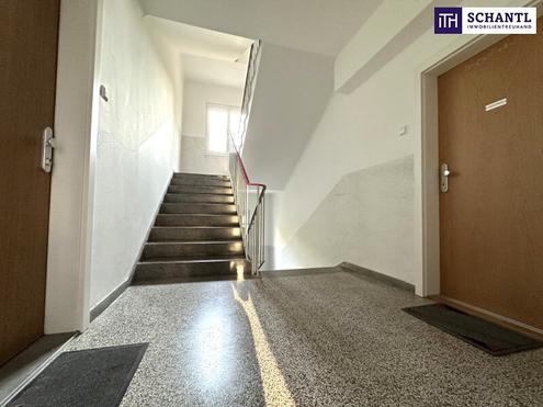 SCHNÄPPCHEN! Coole Anlegerwohnung mit zwei Zimmer plus Wohnküche! Bereits vermietet! Profitieren Sie von den monatlichen Mieteinnahmen!