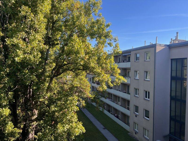Blick Zugang