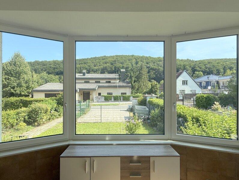 Erdgeschoss - Ausblick vom Wohnzimmer