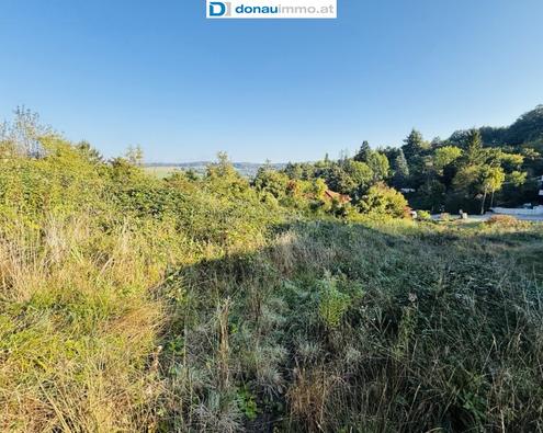 Traumhaftes Baugrundstck in Klosterneuburg - 1978 m fr Ihre Vision!