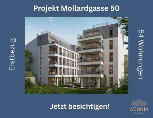 Aehnliche Immobilie - Vorschaubild 3