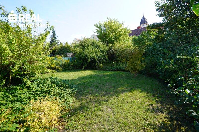 Garten 2