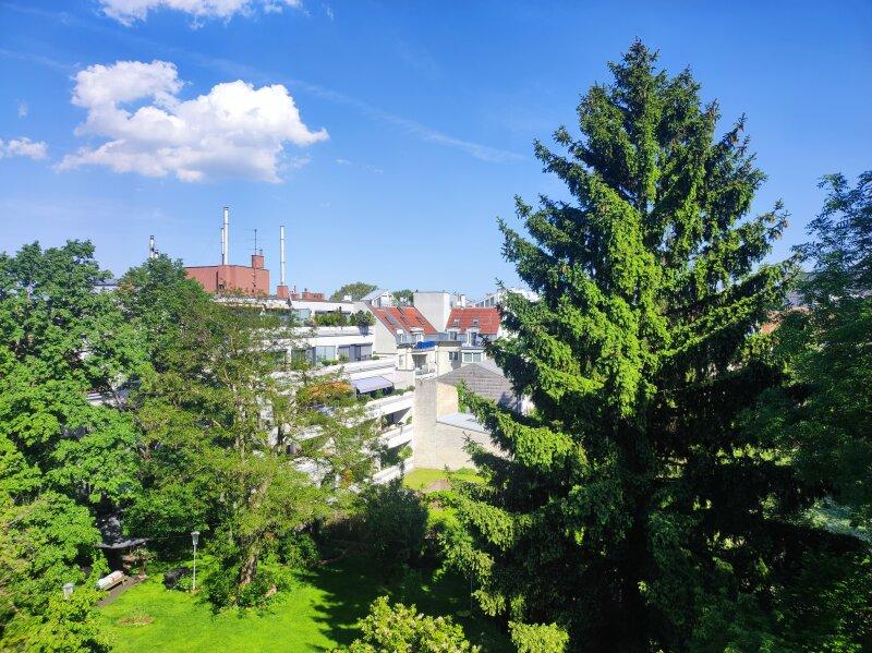 Ausblick