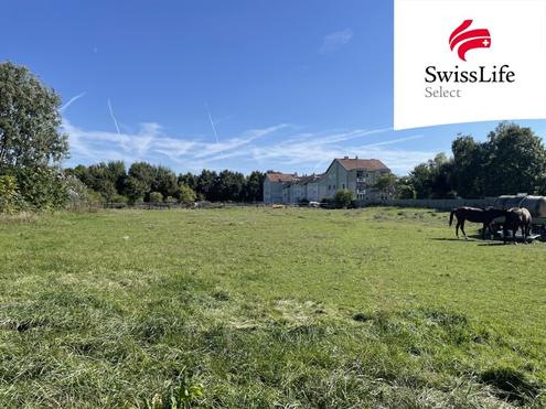 Gols | Baugrundstck in Top-Lage | 5.000 m