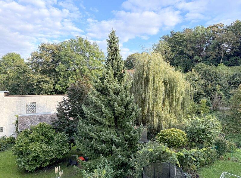 Grnblick vom Balkon